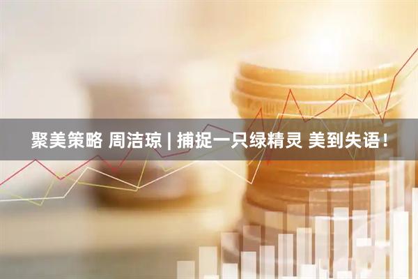 聚美策略 周洁琼 | 捕捉一只绿精灵 美到失语！