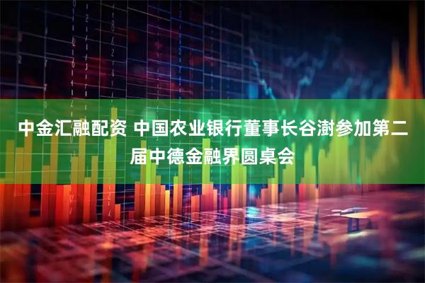 中金汇融配资 中国农业银行董事长谷澍参加第二届中德金融界圆桌会