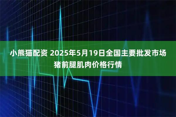 小熊猫配资 2025年5月19日全国主要批发市场猪前腿肌肉价格行情