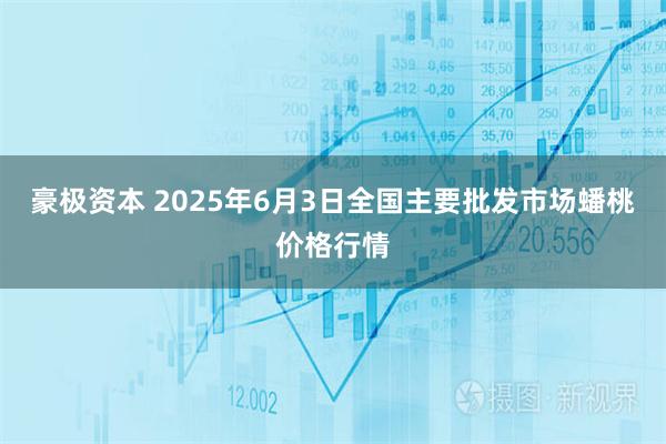 豪极资本 2025年6月3日全国主要批发市场蟠桃价格行情
