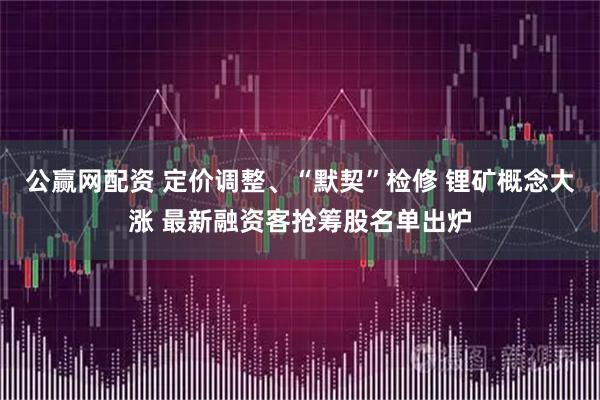 公赢网配资 定价调整、“默契”检修 锂矿概念大涨 最新融资客抢筹股名单出炉