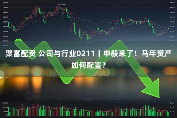 聚富配资 公司与行业0211丨申毅来了！马年资产如何配置？